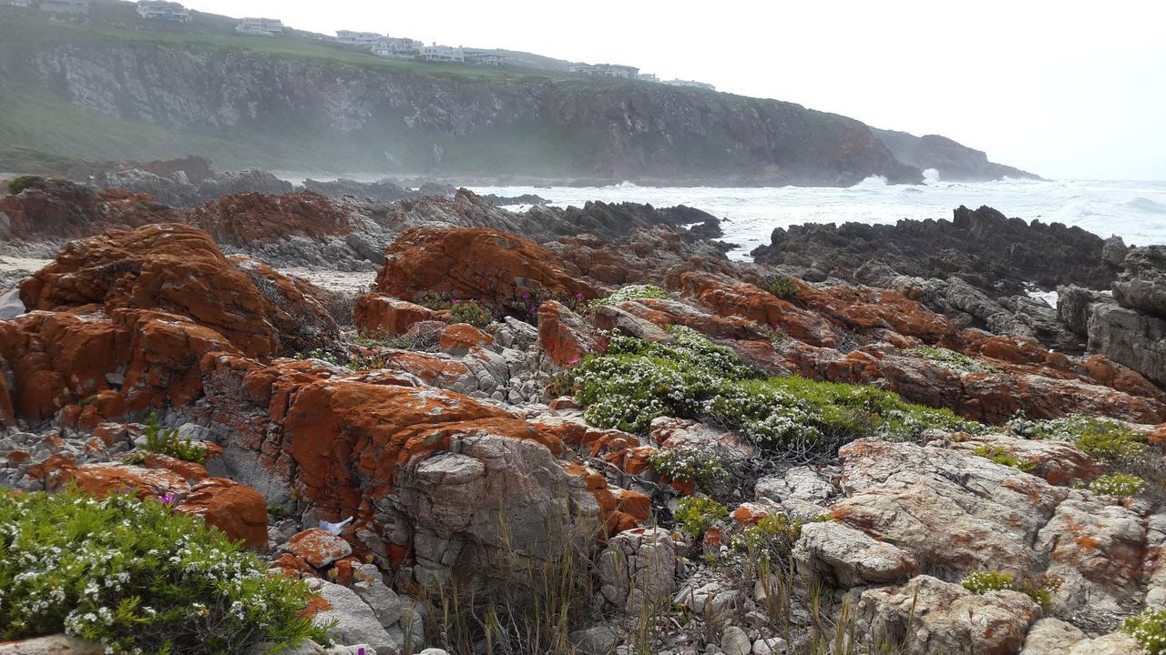 Pinnacle Point - Golf Safari Sa Mossel Bay Zewnętrze zdjęcie